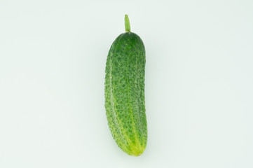 Fresh harvested homegrown cucumber from my garden isolated  on white background