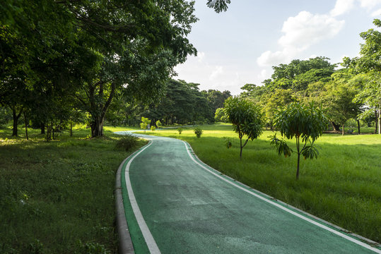 A Bike Lane For Cyclist. Bicycle Lane In The Park