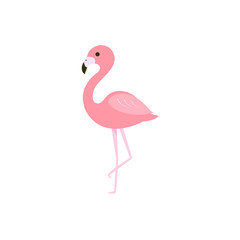 Pink flamingo vector illustration