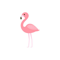 Pink flamingo vector illustration