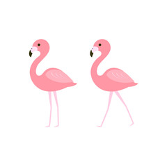 Pink flamingo vector illustration