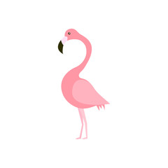Pink flamingo vector illustration