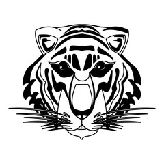 Beautiful tiger head vector illustration graphic design