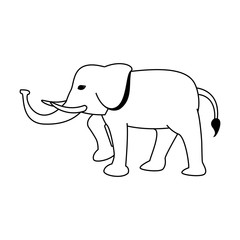 Elephant cute animal vector illustration graphic design