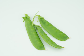 Fresh harvested Snow pea (Pisum sativum var. saccharatum) also known as mangetout organical grown in my garden isolated on white background
