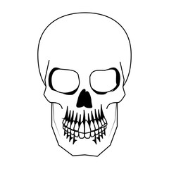 Human skull drawing vector illustration graphic design