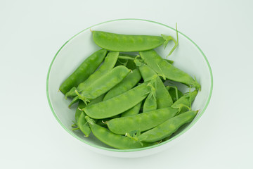 Fresh harvested Snow pea (Pisum sativum var. saccharatum) also known as mangetout organical grown in my garden isolated on white background