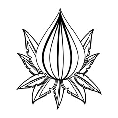 Lotus flower symbol vector illustration graphic design