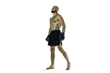 Naklejka premium professional boxer boxing isolated on white studio background