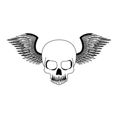 Tatto skull drawing with wings vector illustration graphic design