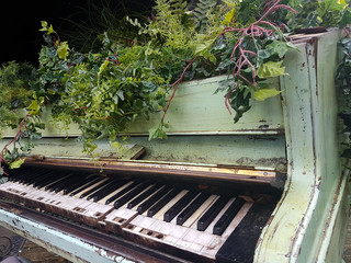 Flowers growing out of a baby grand piano