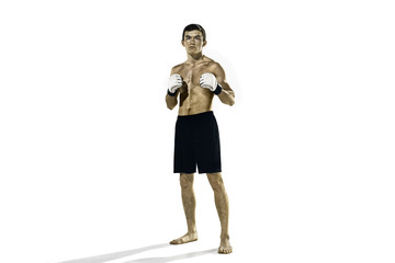 professional boxer boxing isolated on white studio background