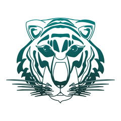 Beautiful tiger head vector illustration graphic design