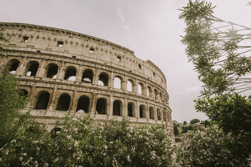 Fototapeta premium Colosseum in Rome, Italy