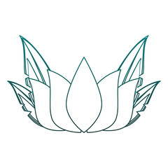 Lotus flower symbol vector illustration graphic design