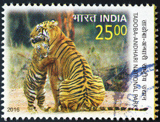 Mother tiger and cub on indian postage stamp