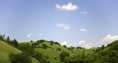 Fototapeta na wymiar Zagajica hills in Vojvodina, Serbia