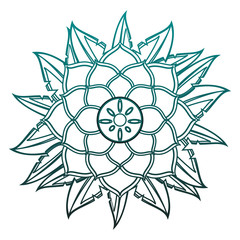 Mandala indian emblem vector illustration graphic design