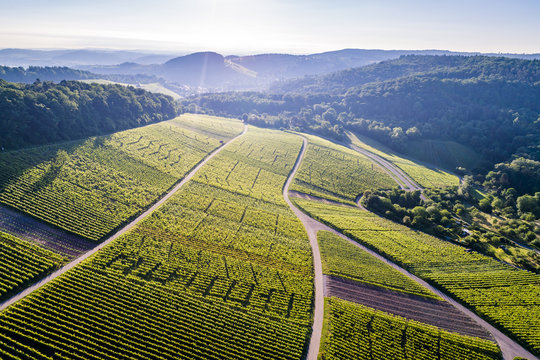 Luftaufnahme &uuml;ber Weinberge im Remstal in Deutschland