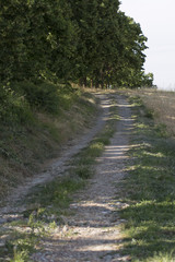 Strada di campagna