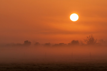 Golden sun rising over foggy marshes, exminster, England