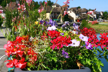 Une jardinière fleurie dans un village à la campagne