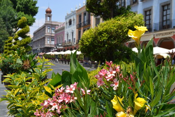 Zocalo with flowers in Puebla de Zaragoza