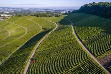 Fototapete Rund Luftaufnahme über Weinberge im Remstal in Deutschland © Stefan Schurr