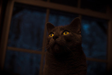 Monsters in the dark