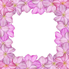 Beautiful floral background of Lilac Clematis