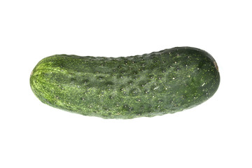 cucumber isolated on white background