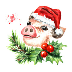 Mini Pig with Christmas cap and holly berry composition. Symbol of the new year. Watercolor hand drawn illustration, isolated on white background