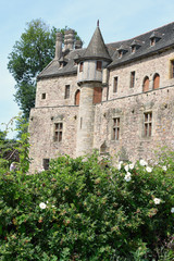 Fototapeta na wymiar chateau de la roche jagu a ploezal