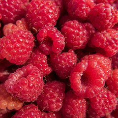 Fresh raspberries. A wonderful berry dessert