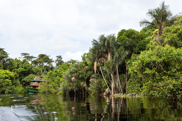 Obraz premium Amazonas, Brazil. A traditional wooden boat on an affluent river of the Negro River in the Amazon.