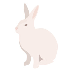 Fototapeta na wymiar White rabbit in flat style isolated on white background, side view of rabbit