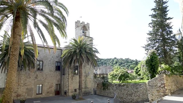 Three palm tree in the Suvereto old town centre, in the province of Livorno, Italy.