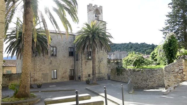Three palm tree in the Suvereto old town centre, in the province of Livorno, Italy.