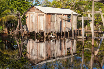 Amazonas, Brazil. View of a traditional wooden house in a village on the Negro River in the Amazon, during the flood season.
