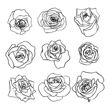 Set of beautiful outline rosebuds icons isolated on white