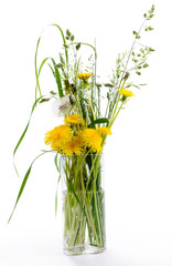 Dandelions and meadow grass in glass vase on white background