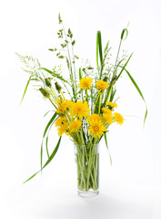 Yellow and half-blossoming dandelions and meadow grass in glass vase on white background