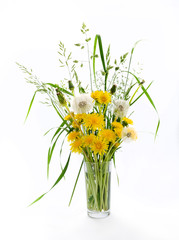 Yellow, half-blossoming and fluffy dandelions and meadow grass in glass vase on white background