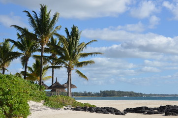 Obraz na płótnie Canvas East coast, beach in Mauritius