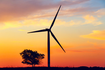 Obraz premium Silhouette of a wind farm against the backdrop of the setting sun