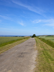 upland bridleway