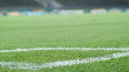 Dolly of the football field on a stadium near the corner point - Powered by Adobe