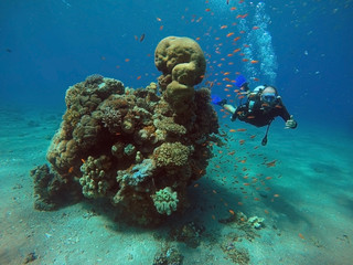 Fototapeta na wymiar Diver swim under the water