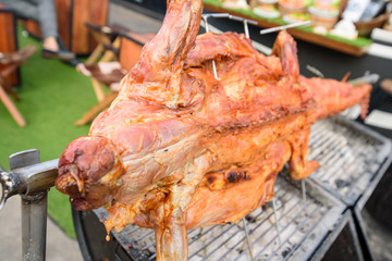 crocodile grill on the stove