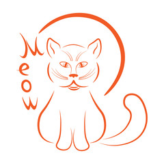 Red cat in the contour